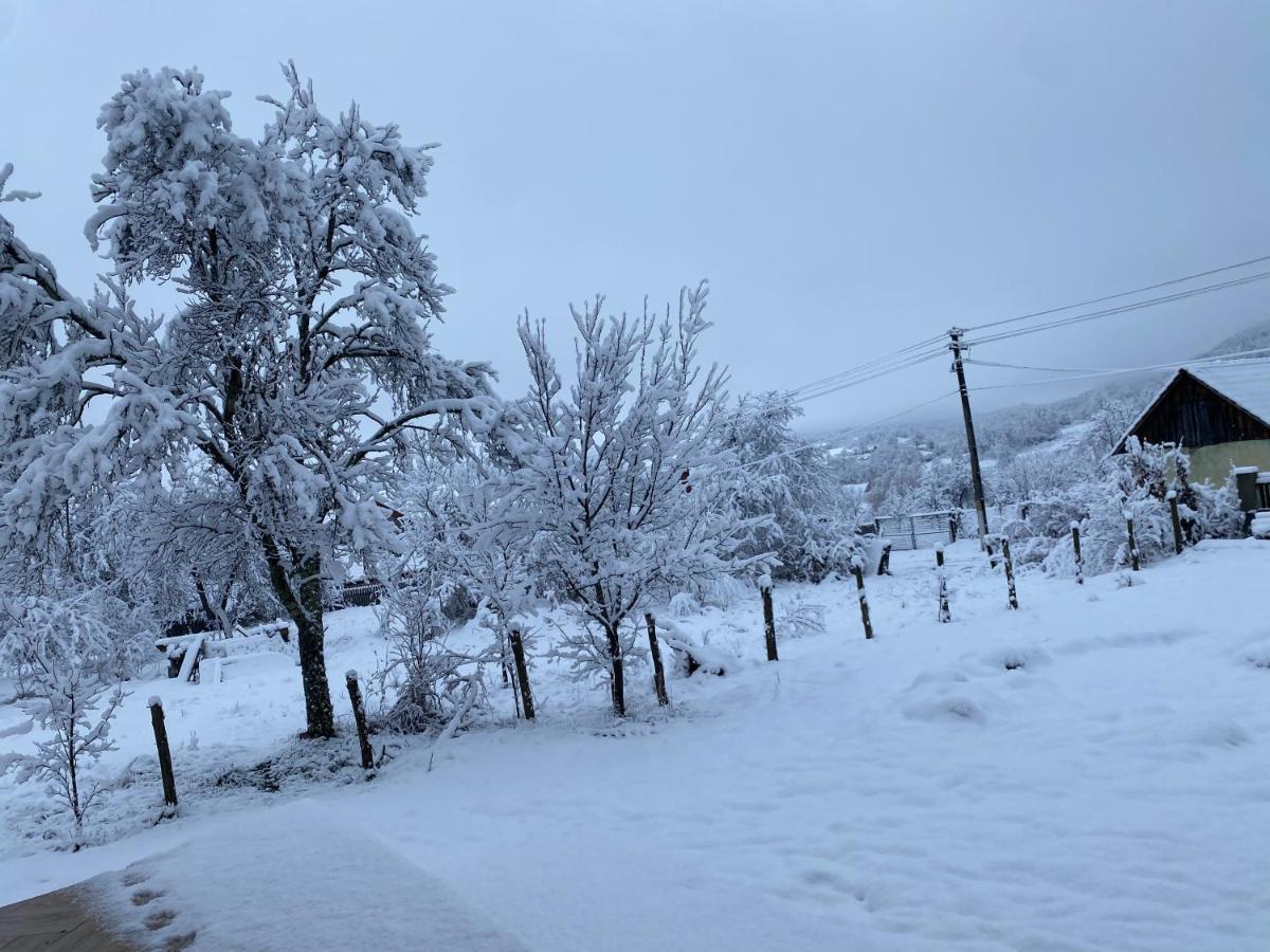 Casa Dea Βίλα Gladna Montana Εξωτερικό φωτογραφία